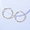 Alloy Hoop Earrings